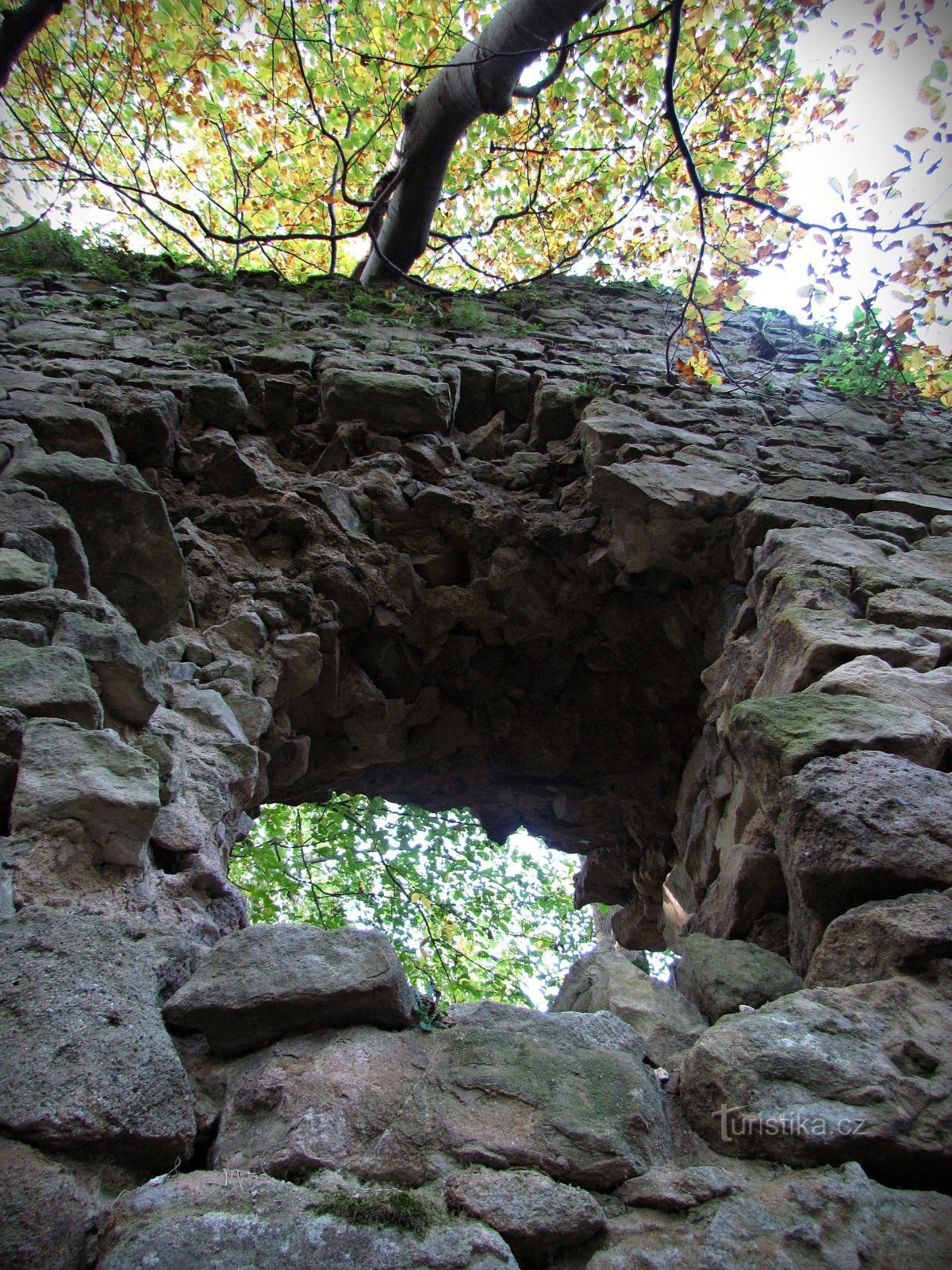 De ruïnes van het kasteel van Obřany