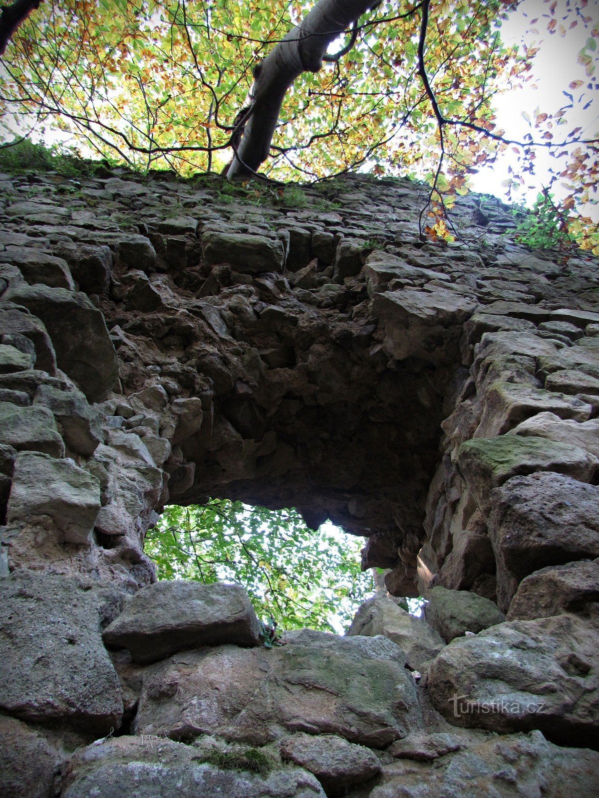 The ruins of Obřany Castle