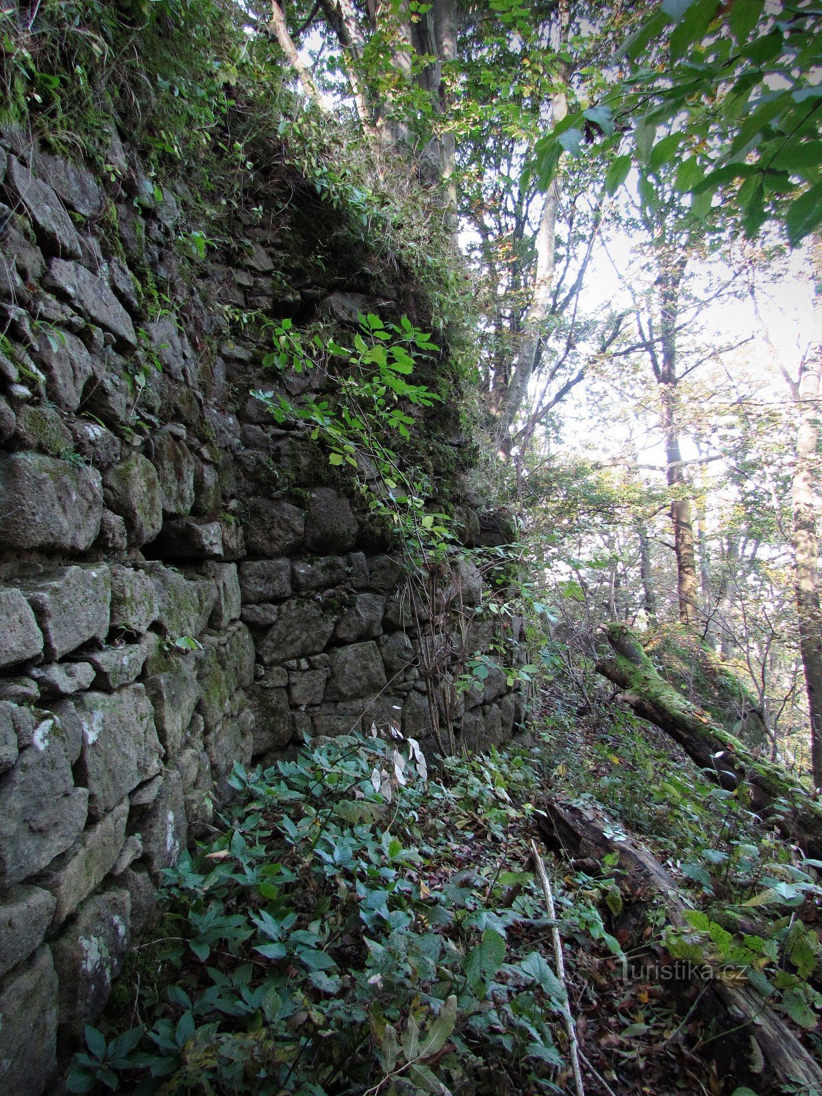 Las ruinas del castillo de Obřany