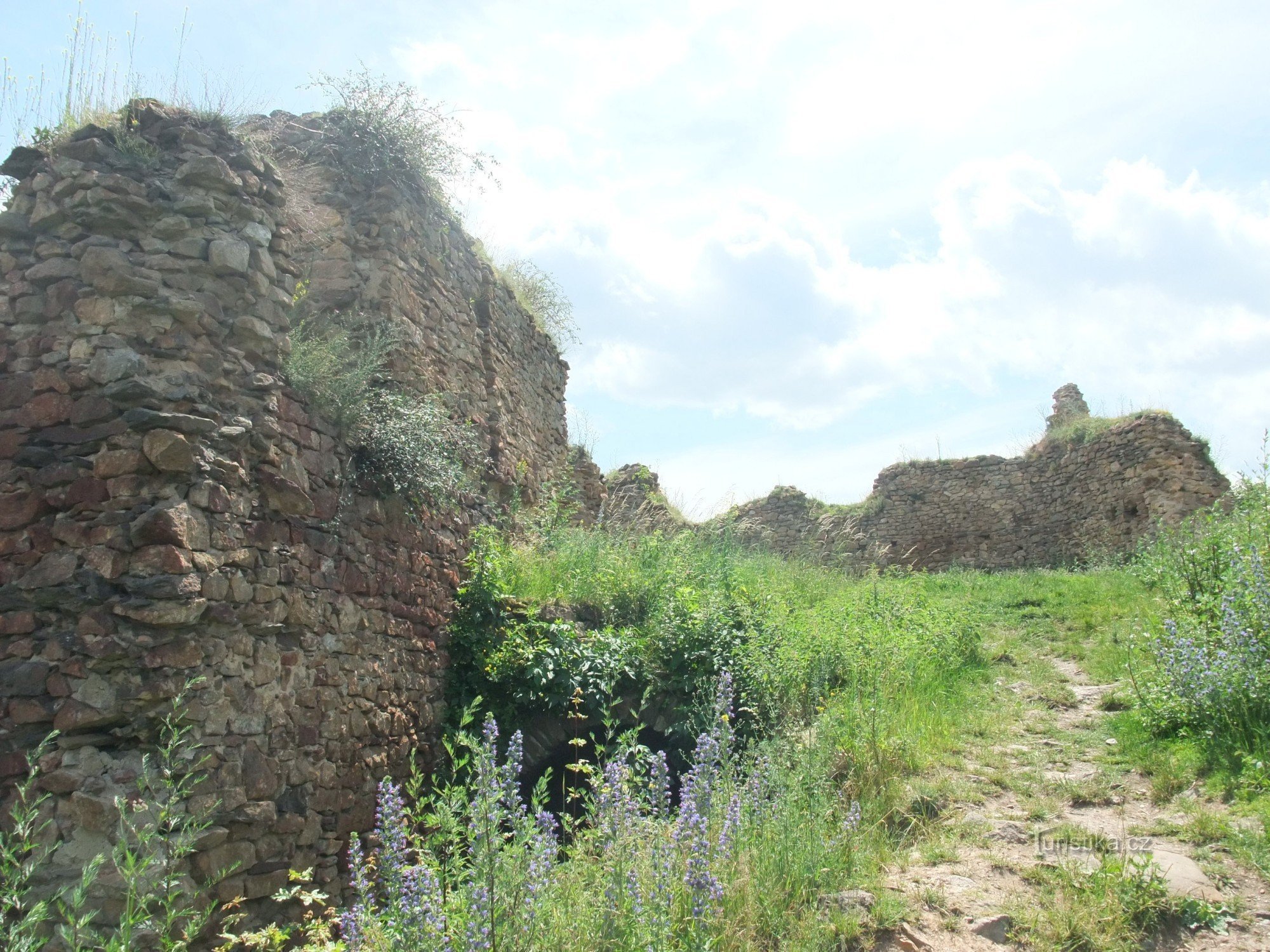 Ruinen der Burg Opárno