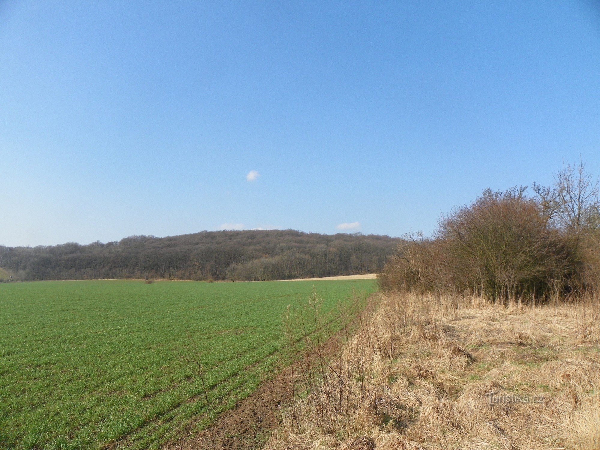 Die Ruinen der Burg Ostrý