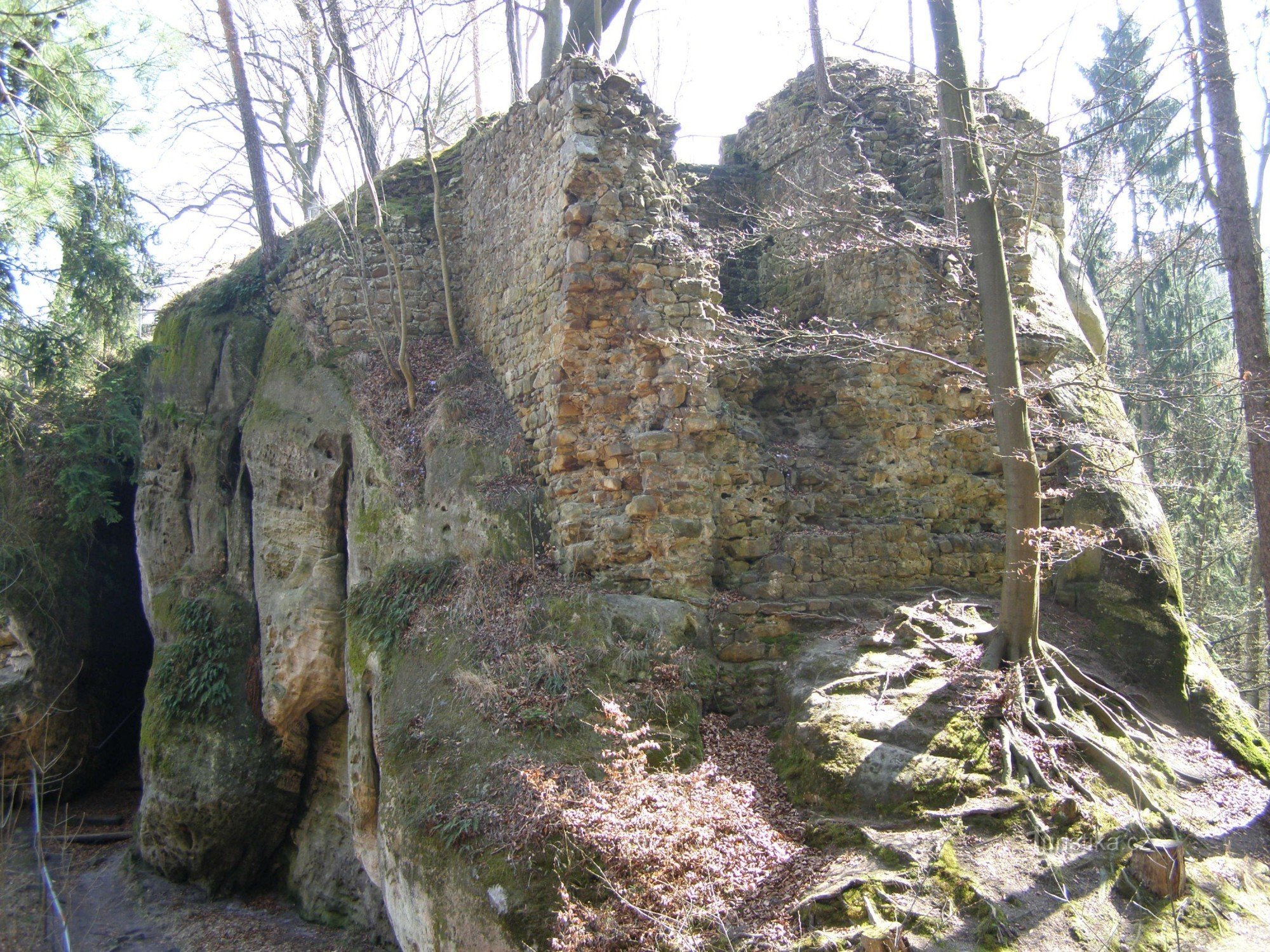 the ruins of Pařez castle