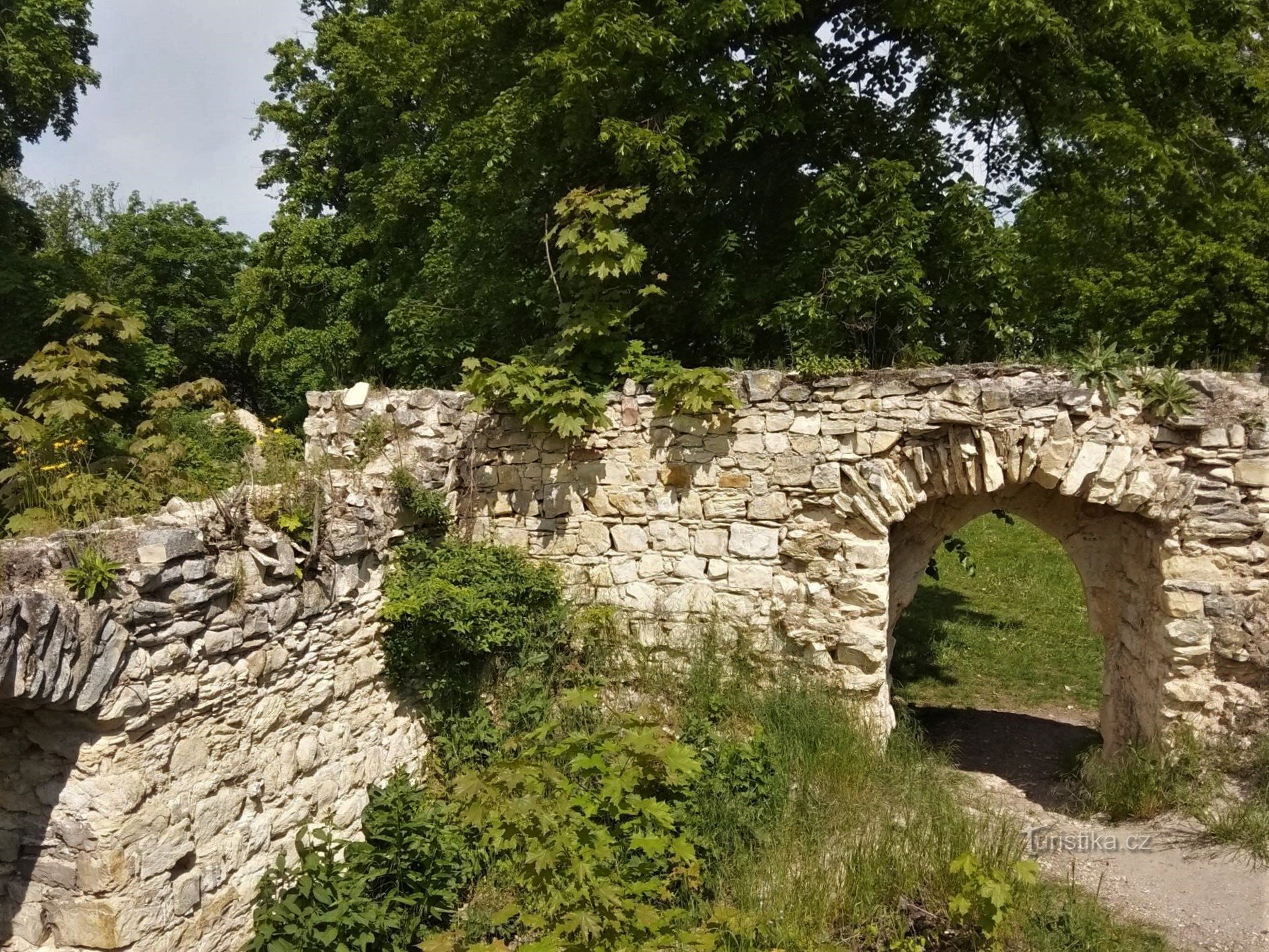 Ruinas del castillo de Pravda