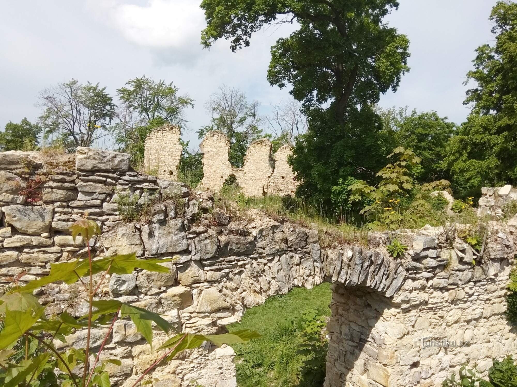 Ruines du château de la Pravda