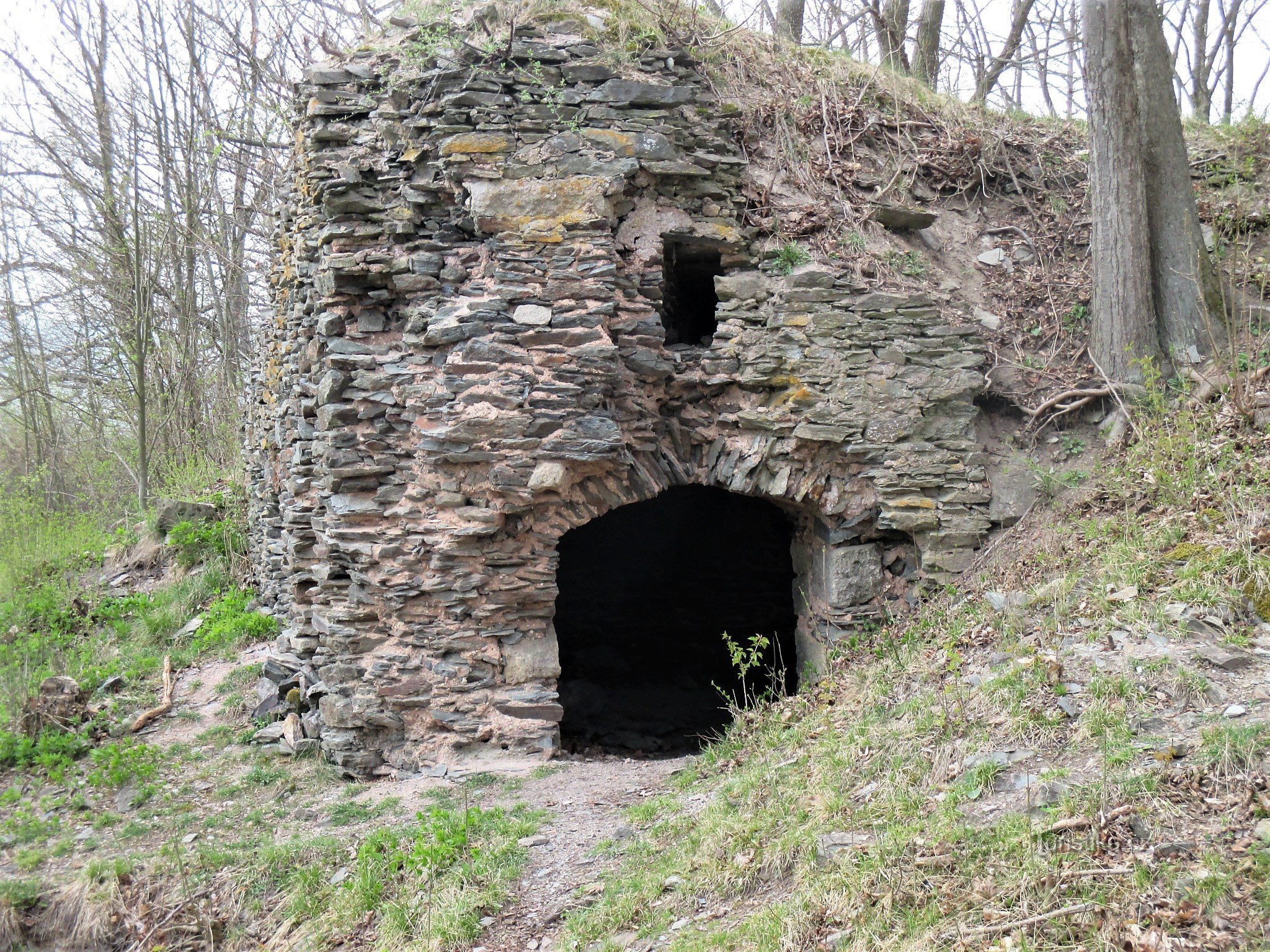 ruinerna av slottet Preitenstein (Nederländerna)