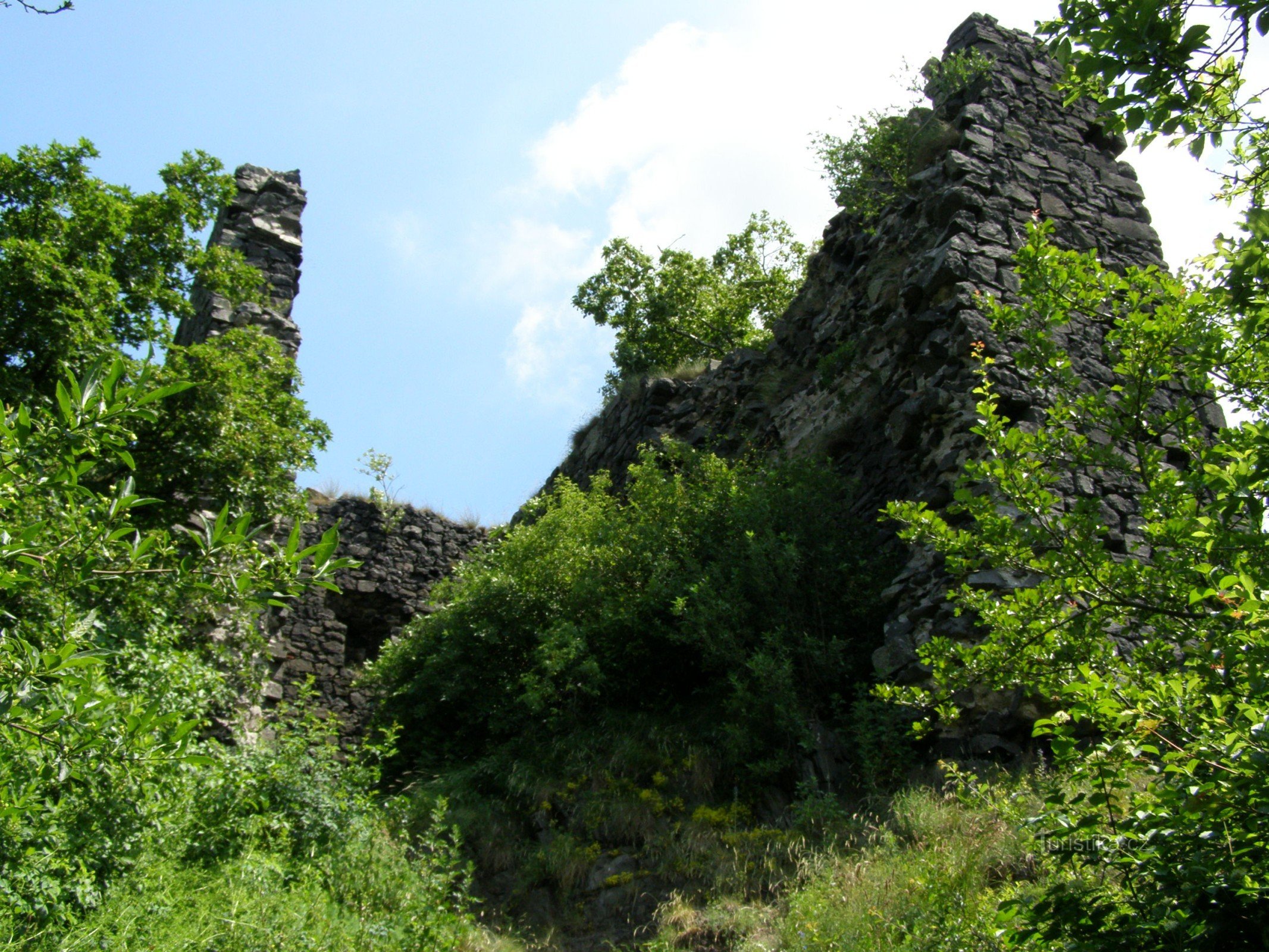 tàn tích của lâu đài Ronov