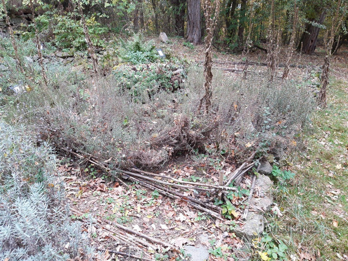 Ruinerna av slottet Šelmberk