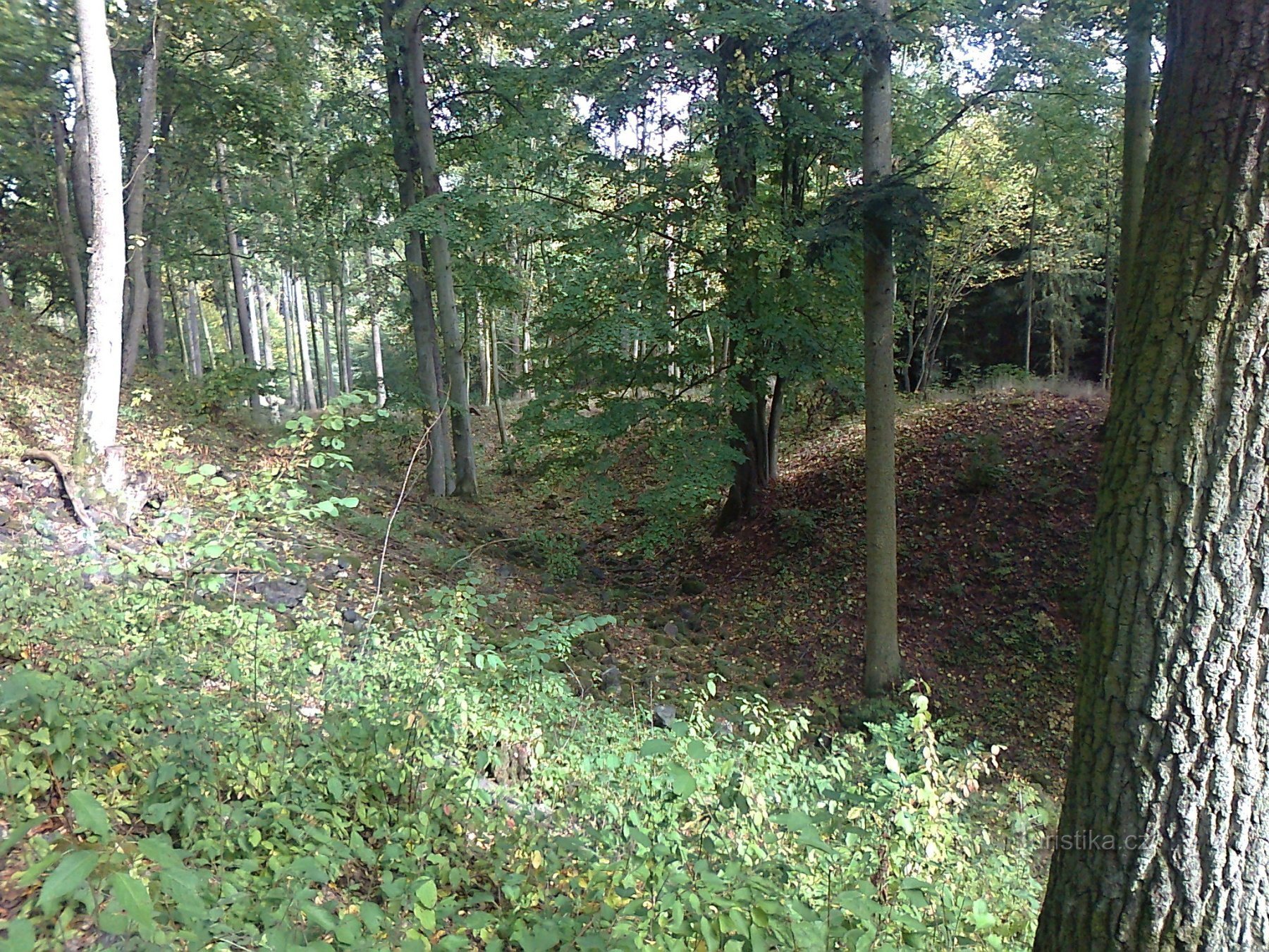 Ruines du château de Skála - Brasserie Letiny - Point de vue de Kamýcká skála