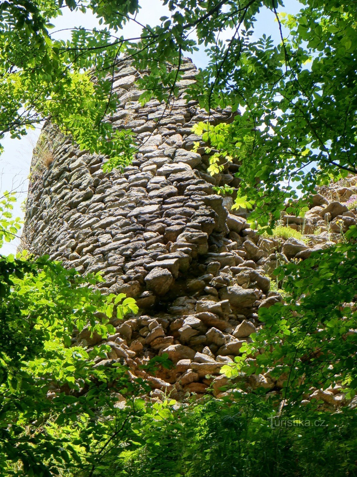 Le rovine del castello di Starý Herštejn