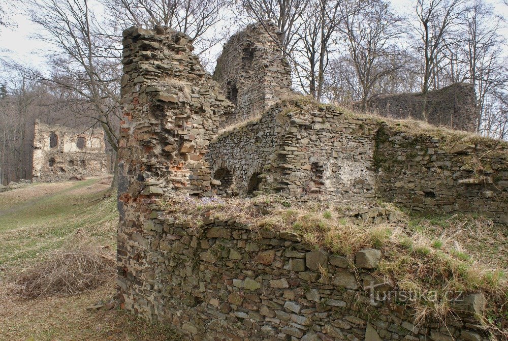 die Ruinen der Burg Vikštejn