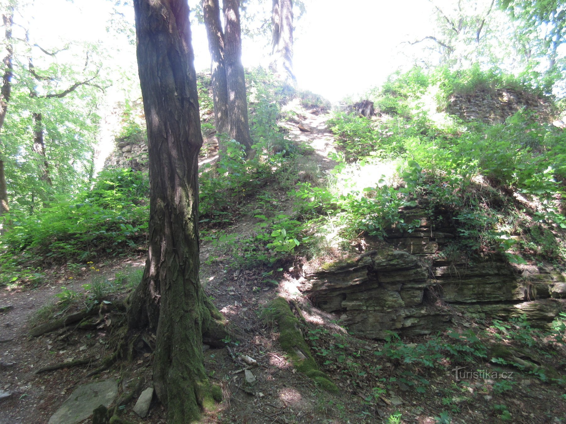 Le rovine del castello di Výrov (chiamato anche il vecchio castello) e il belvedere di Juránk