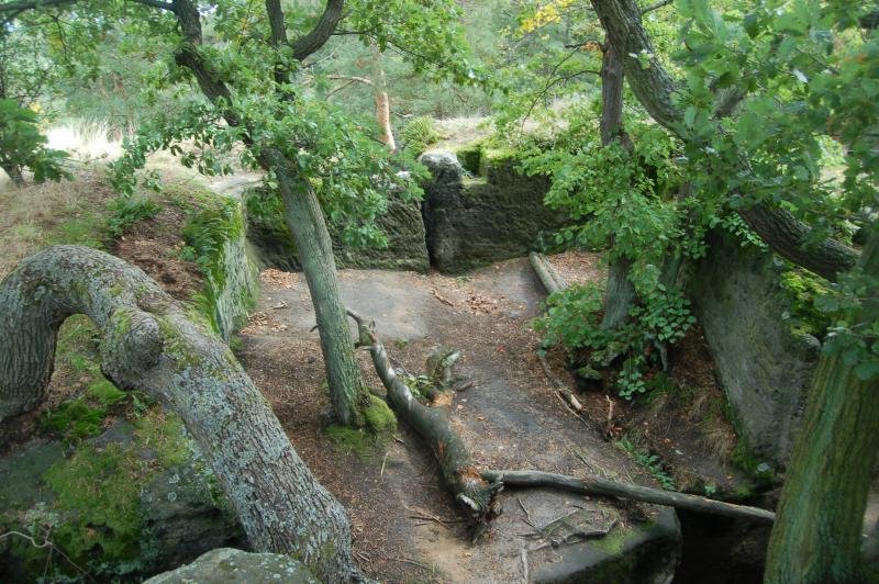 Las ruinas del castillo de Zakšín