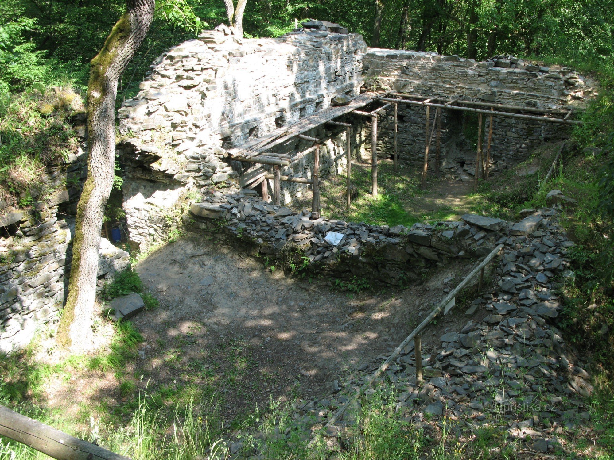 Ginseng ruins