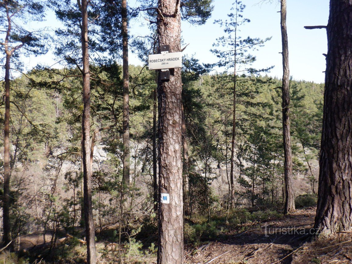 Le rovine del castello di Robeč