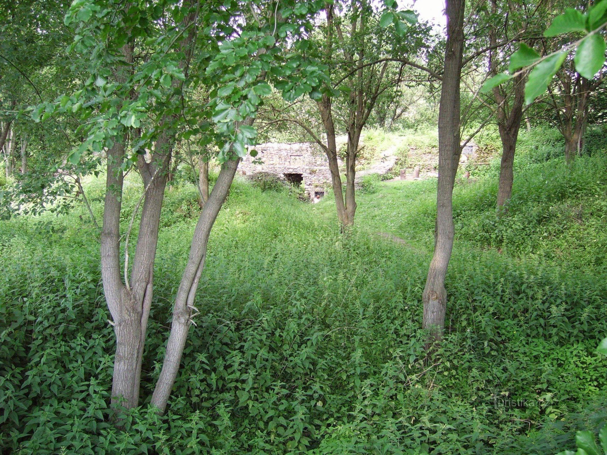 las ruinas de Ronovec