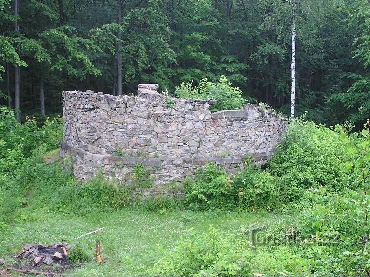 Rychleby Ruins: Rychleby Ruins