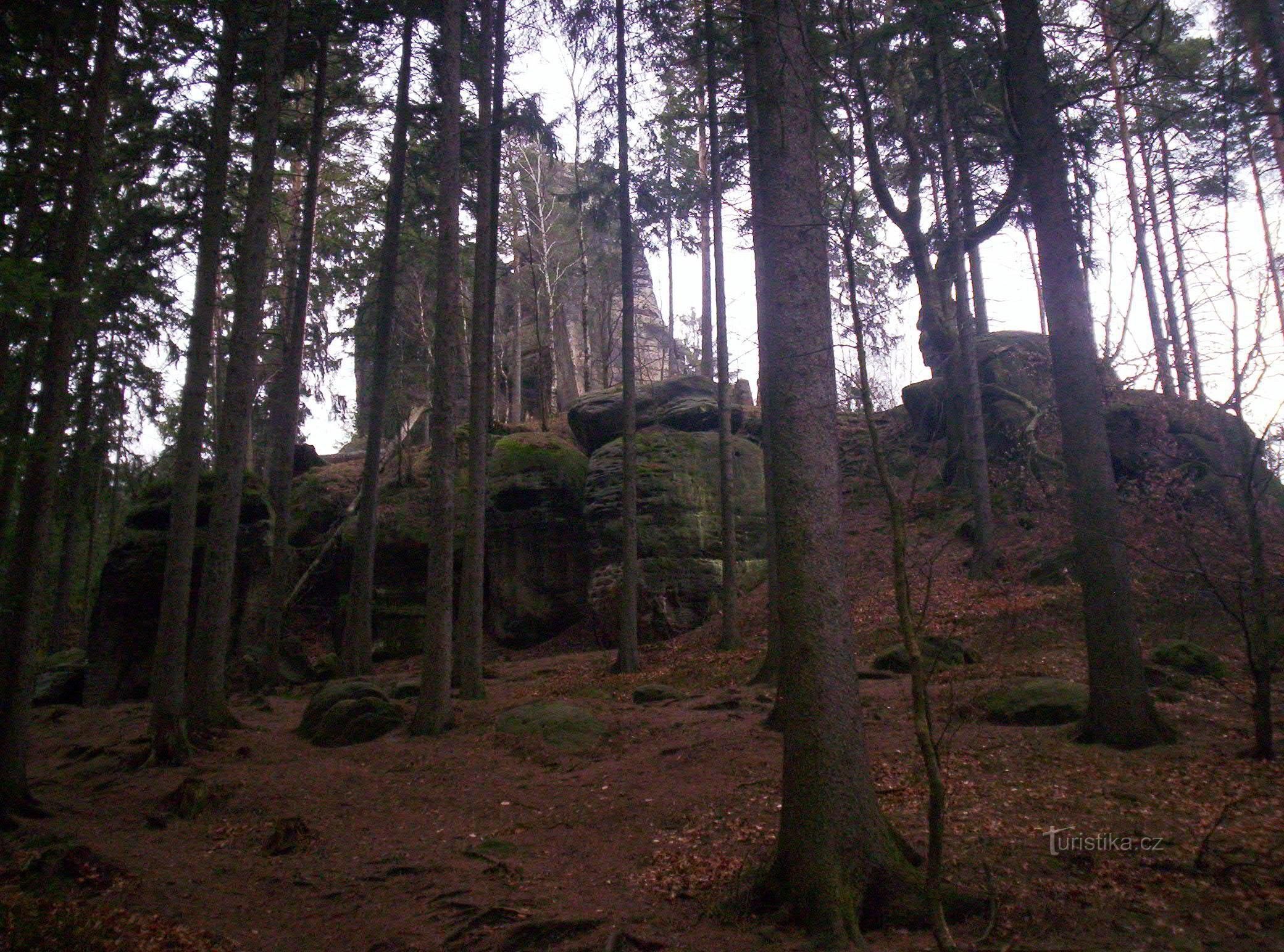 the ruins of Šaunštejn