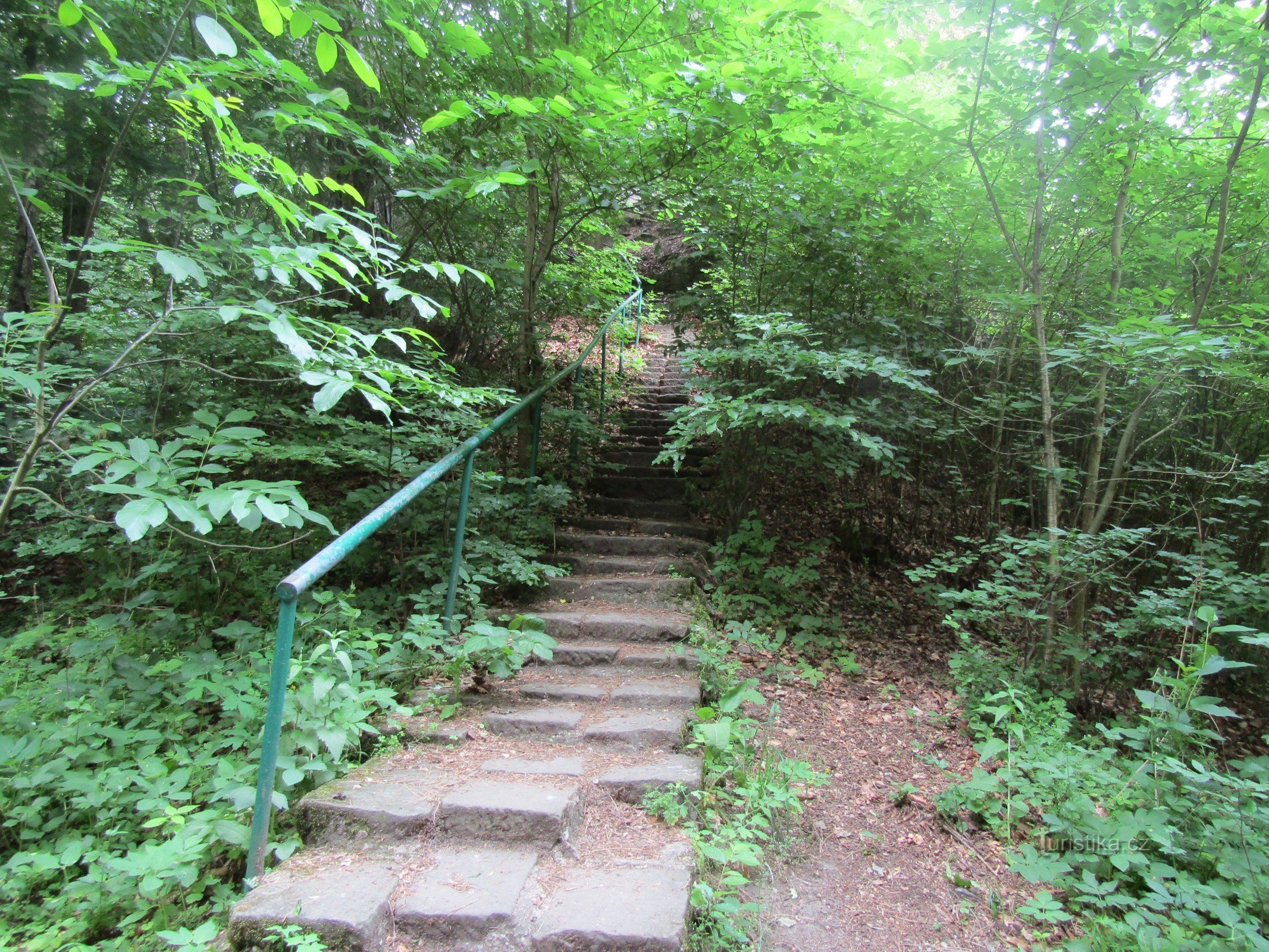 Die Ruine der Felsenburg Pařez