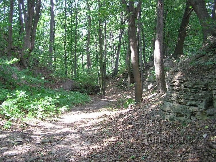 The ruins of Výrov