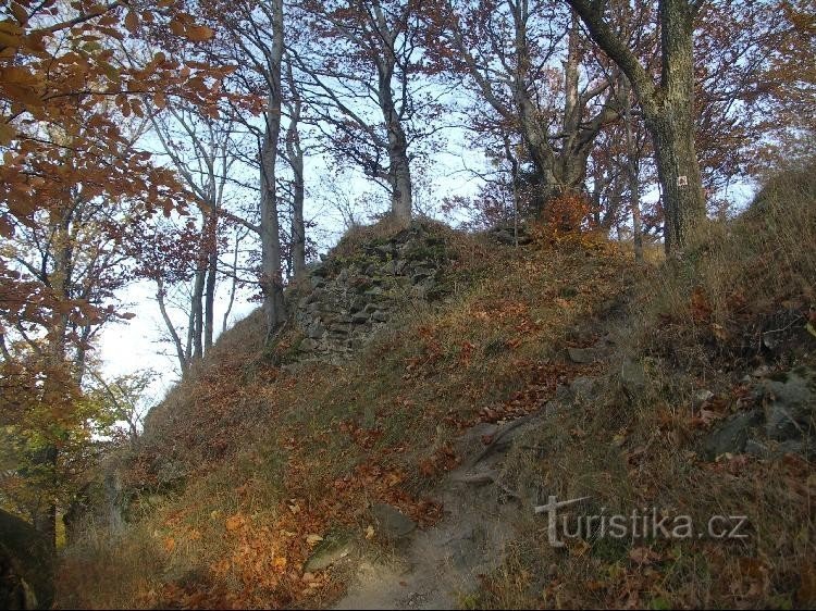 Eine im Wald verwucherte Ruine