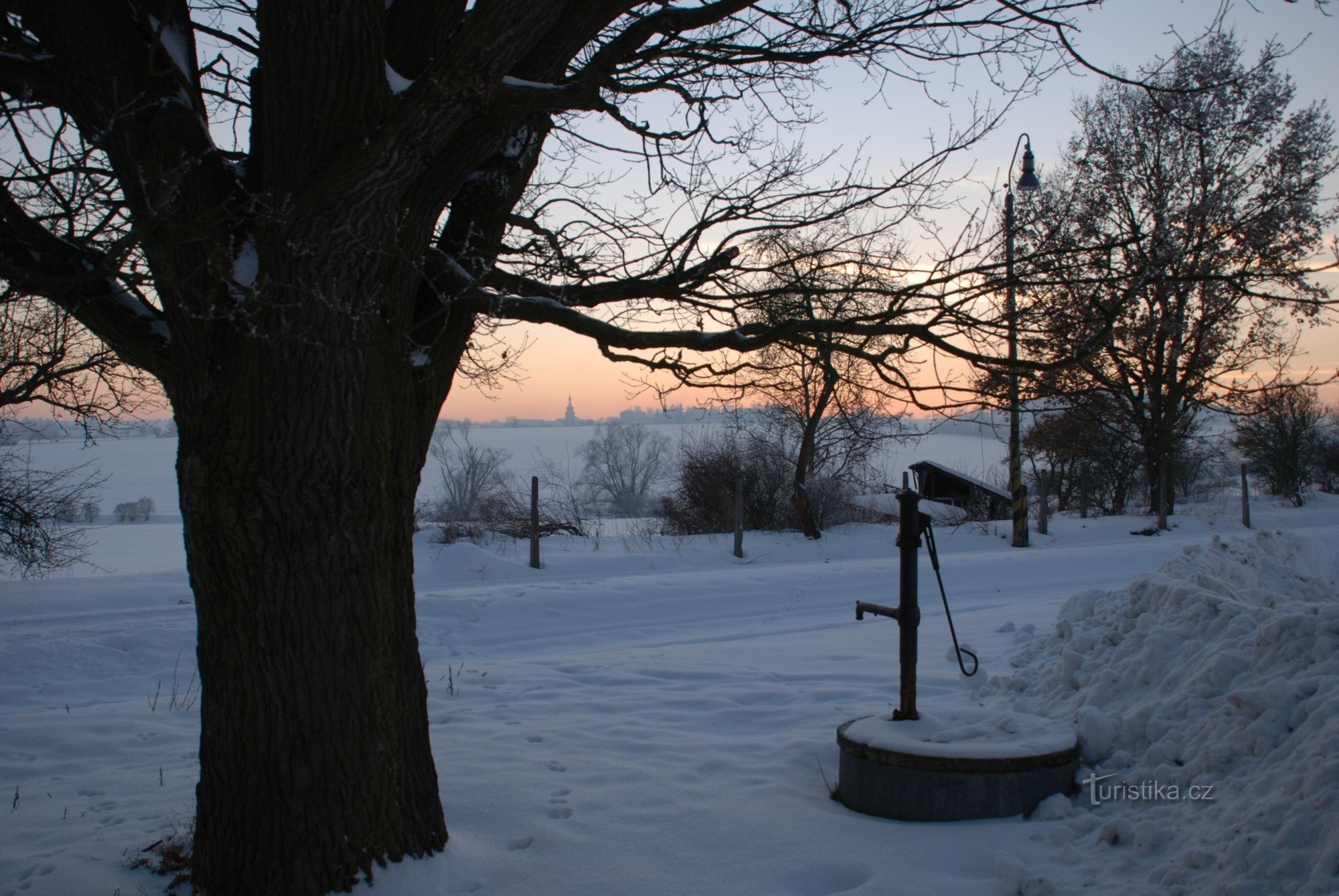 ŽST Trpísty, near the oak tree