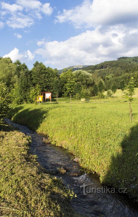 Den tabte strøm