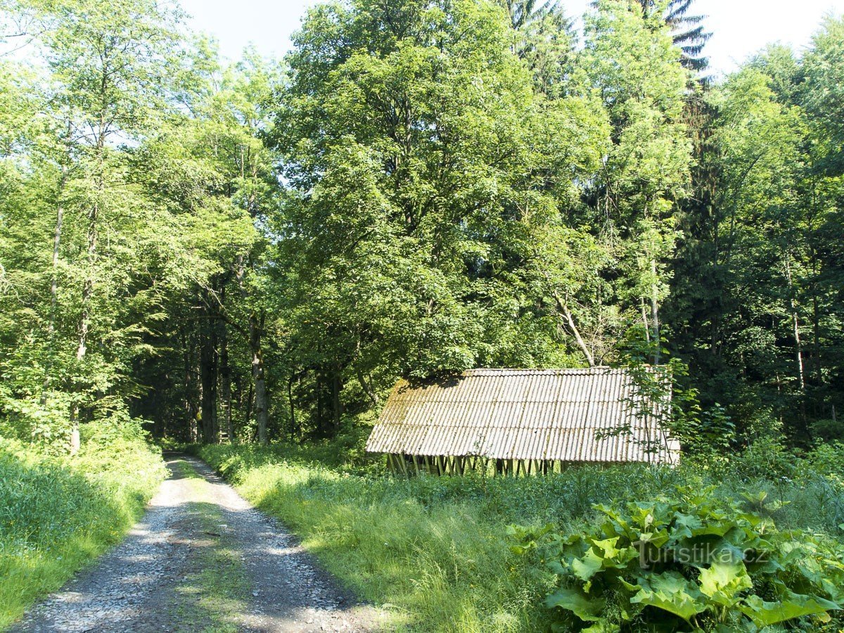 Den tabte strøm