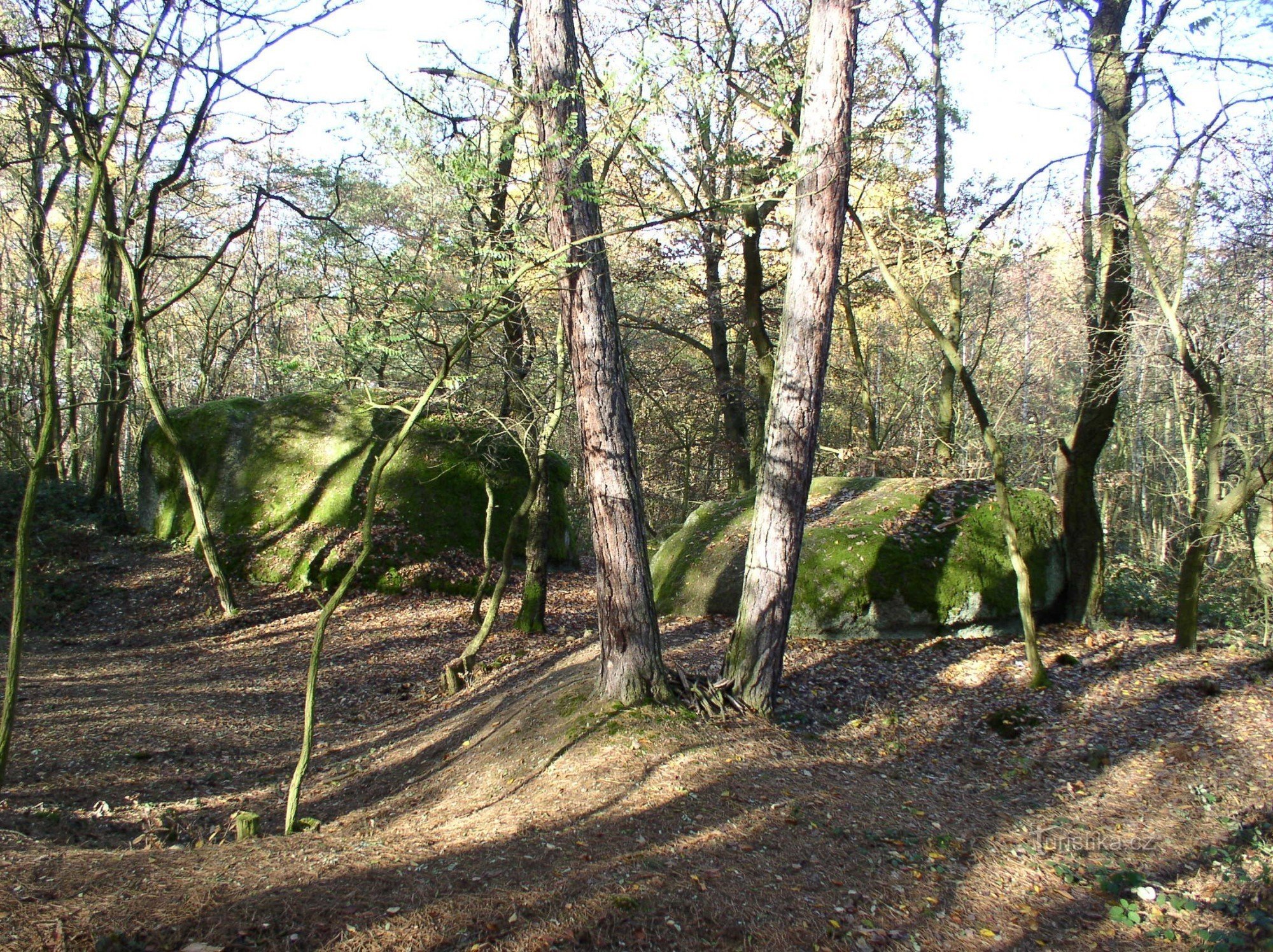 Granitfelsen auf Klepci