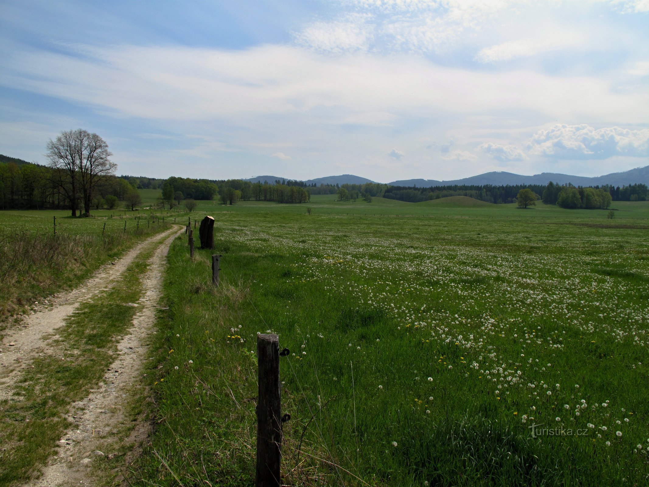 Žulovsko: Feldweg hinter Kobyla nad Vidnávka