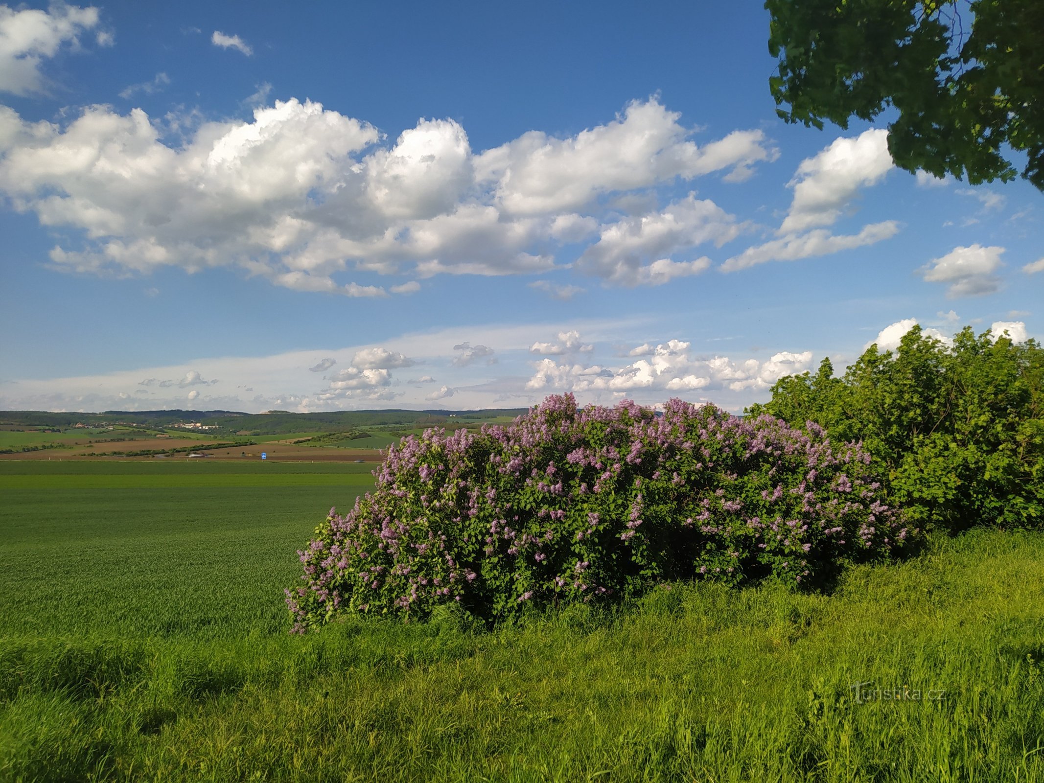 Žuraň - Dealul Napoleon, sau Monumentul victimelor războaielor napoleoniene