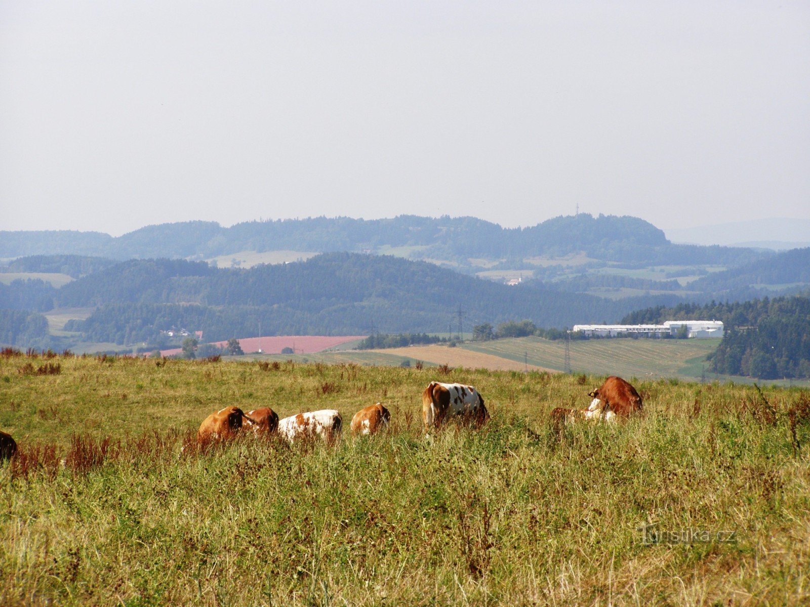 Zvičina - kilátás a Staropacké-hegységre