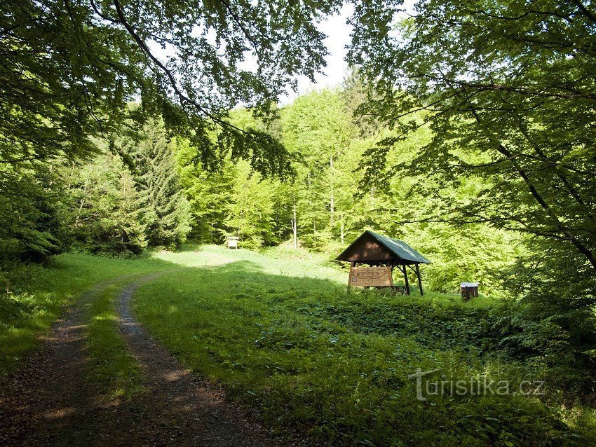 Tiervorstellungen im Studený potok