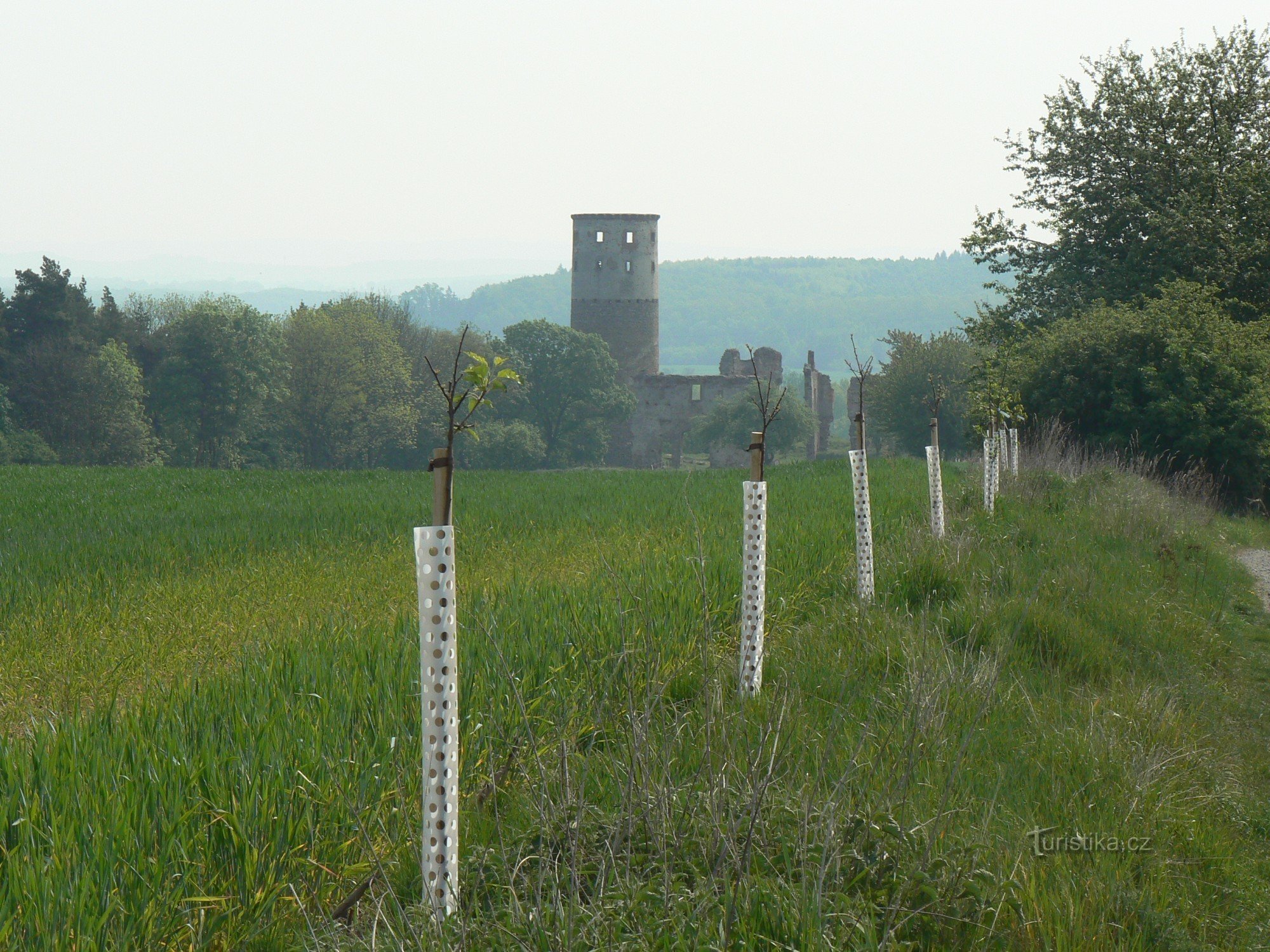 Torre de animales desde la distancia