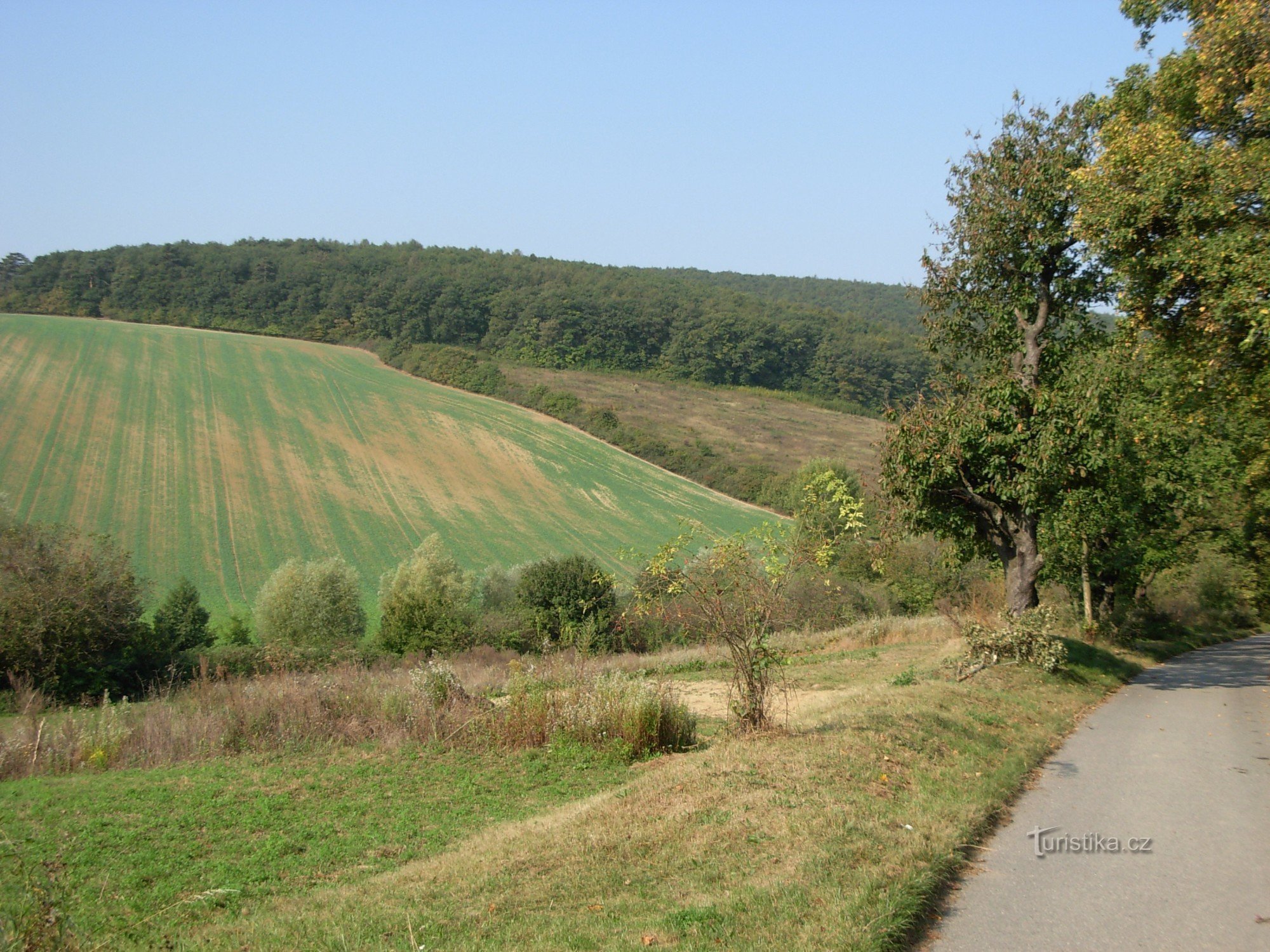 A paisagem ondulante da floresta Ždánické