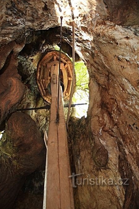 Une cloche dans un vieux tilleul